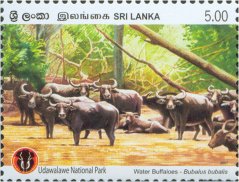 Udawalawa National Park - Water Buffalo (Bubalus bubalis) - Ceylon & Sri Lanka - Mint Stamps