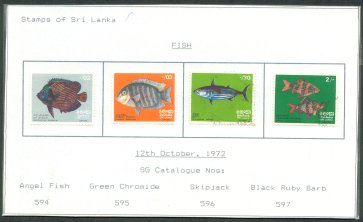 Set of 4 Sri Lanka Stamps - Fish - 1972