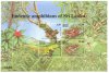 Stamp Mini Sheet-Endemic Amphibians of Sri Lanka