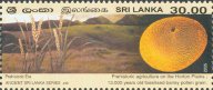 Ancient Sri Lanka - Stamp Series, Pre-Historic era - Sri Lanka Mint Stamps