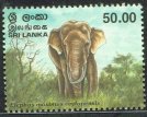 Mint Stamp-Elephants