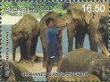 Mint Stamp-Orphaned Giants on Earth (Elephant Orphanage Pinnawala)