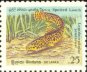 Spotted Loach - Sri Lanka Mint Stamps